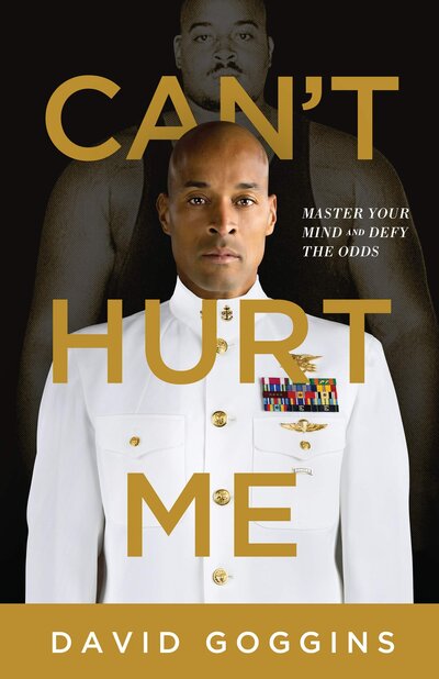 Cant hurt me book