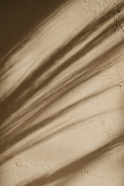 kaboompics_textured-harmony-natural-forms-and-shadows-in-still-life-decor-35210