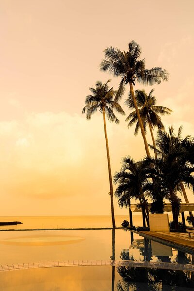 Palm trees, and a Hawaiian sunrise.