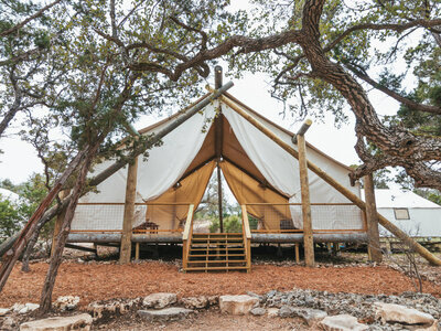 collevtive hill country5