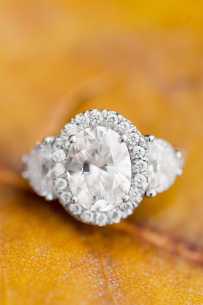 Washington-DC-Fine-Art-Engagment-Photographer_photo-176