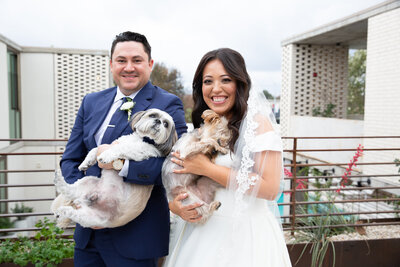 An Austin-based wedding photographer captures the bride and groom joyfully holding their dogs on a romantic rooftop.