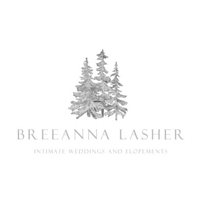 BreeAnna Lasher's Logo