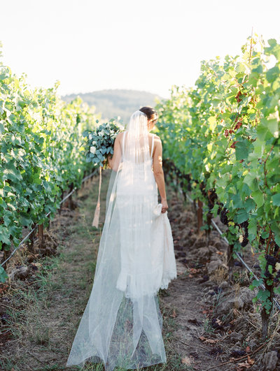 fine art film portrait of a bride walking through a vineyard at sunset