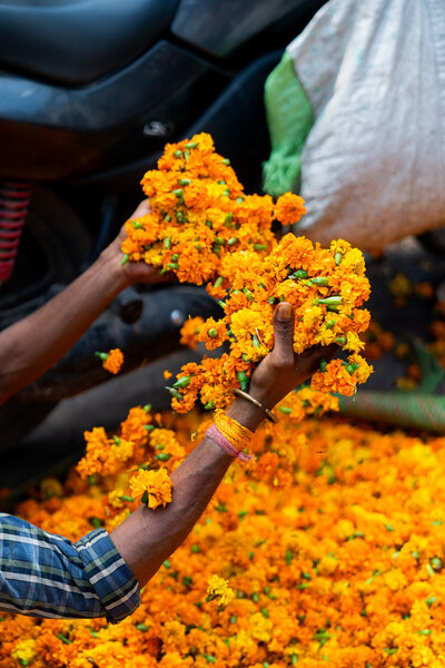 details_flowers_orange_marigolds_delhi_india