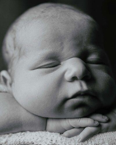 Maddie Rae Photography black and white up close image of a newborn sleeping with his head resting on his hands