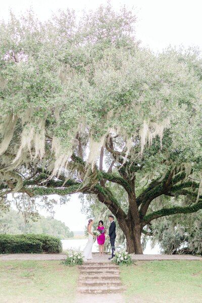 couple standing under a giant willow