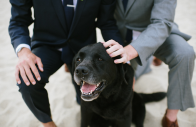 Two men with dog in wedding suits