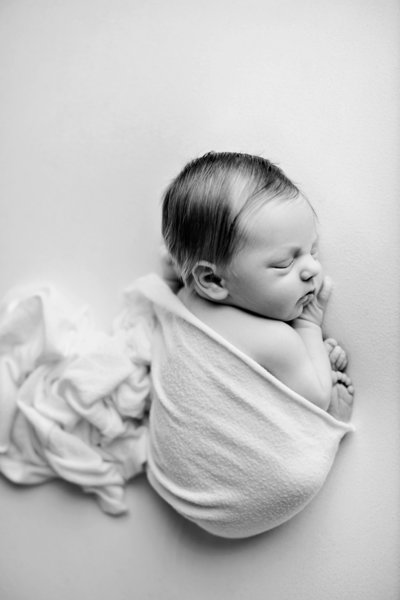 Blush Baby Newborn Las Vegas Photography Photo
