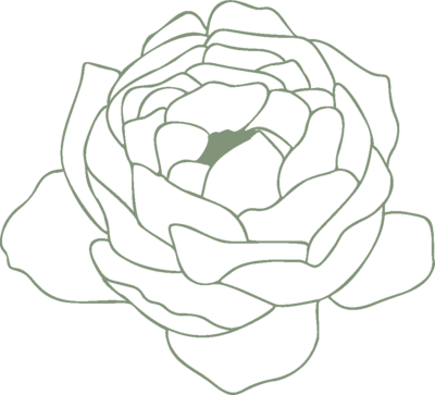 drawing of a rose