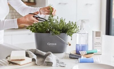 Grove Collaborative herbs