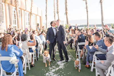 Same sex couple kisses while walking down the aisle married with their pups at waterfront wedding ceremony