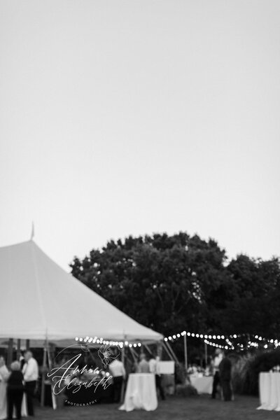 Photo of reception tent top