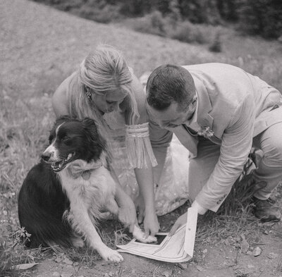 couple is having their border collie sign their marriage license in the colorado mountains with his paw print. The photo is in black and white.