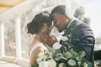 bride and groom holding eachother