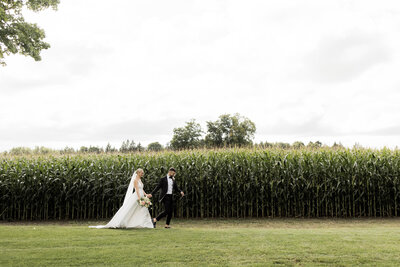 bride and groom walking past corn stalks at Barn 1906 wedding venue