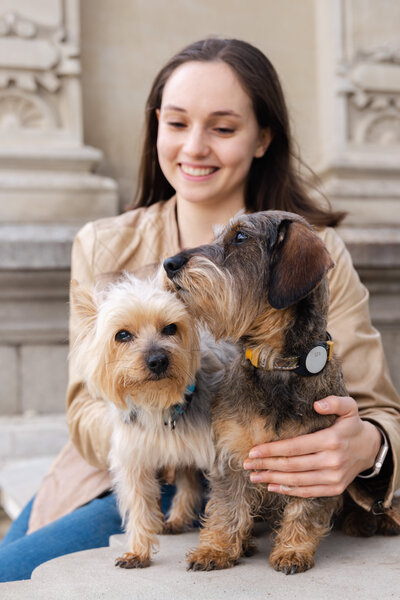 Two Dogs Looking at Camera
