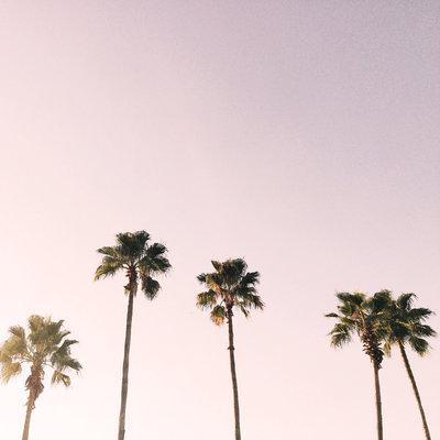socialsquares_surfandturf003-1