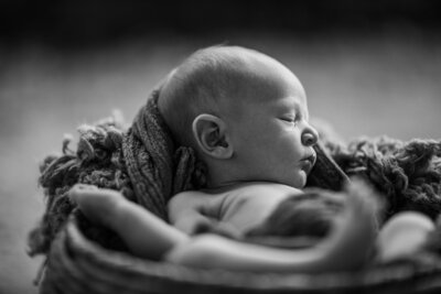 Oklahoma Newborn Photographer