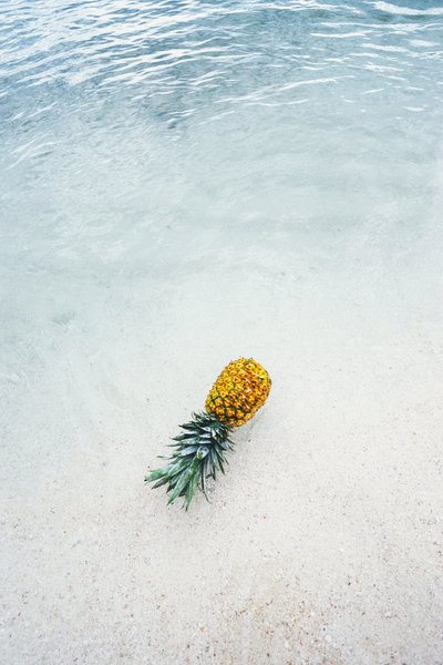 pineapple-supply-co-244468