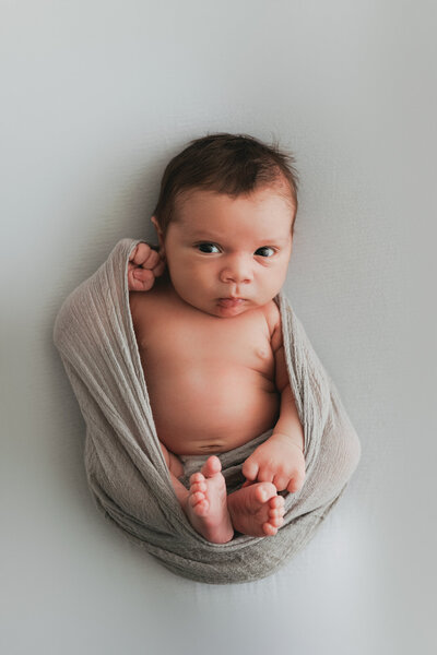 newborn baby boy wrapped looking at camera