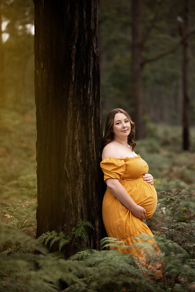Aurora Joy Photography: Capturing Radiant Maternity Moments in Melbourne" Description: "Celebrate the beauty of motherhood with Aurora Joy Photography in Melbourne. Our skilled maternity photographers capture the radiance and joy of your pregnancy journey. Book a session today