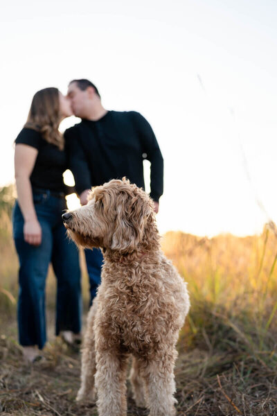 photo of engaged couple kissing in the background with dog in foreground by Engagement Photographers Atlanta