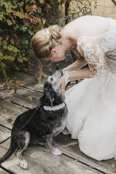 a bride greeting her dog
