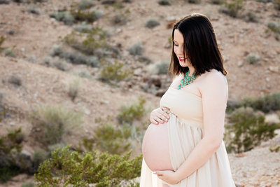 Lucinda Flint Photography_2017_ Las Vegas Maternity modern maternity photographer-5