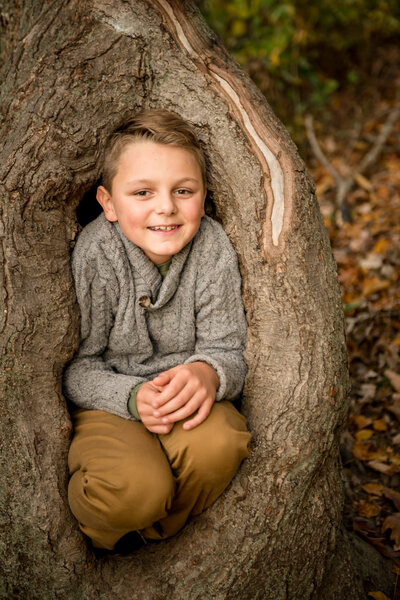 boy sitting in a tree during family photo session