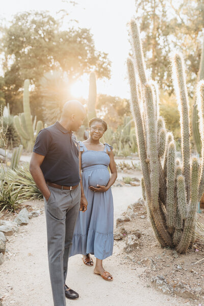 Maternity Session in the Arizona Cactus Garden Bay Area Sunset
