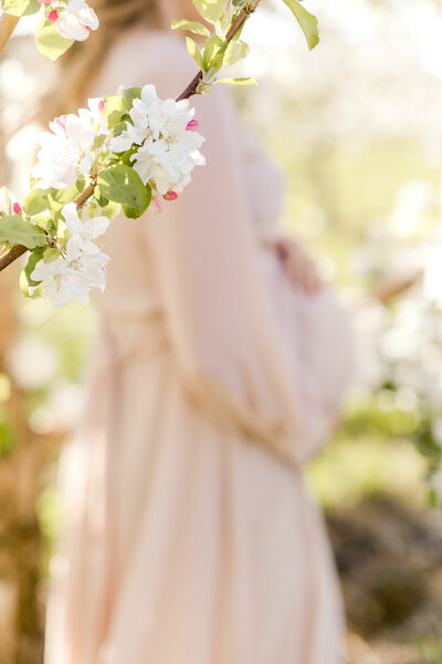 Expecting mother stands behind a flowering tree branch during maternity shoot.