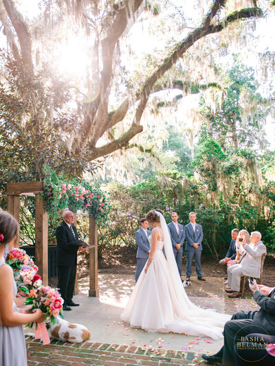 Learn about the top Charleston wedding photographers at Pasha Belman Photography