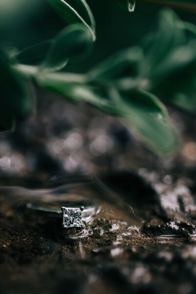 a shot of a engagement ring  with leaves and water