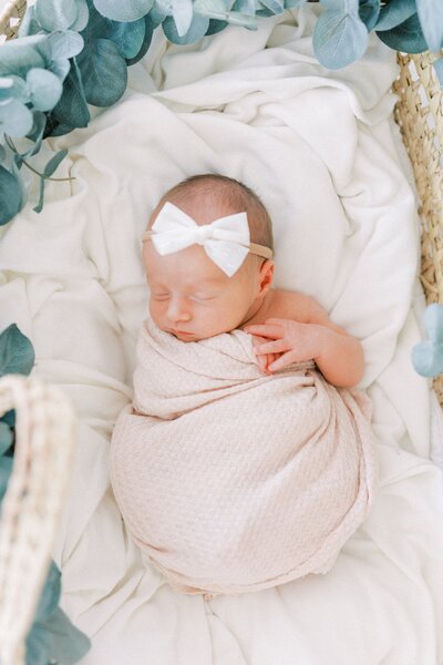 newborn baby girl in pink wrap with shite bow set in a moses basket with greenery