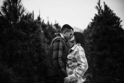 Engaged couple about to kiss in the middle of a Christmas tree farm in Waterford, PA