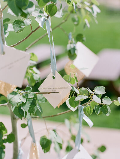 Reception seating chart name on a blue ribbon hangs from a tree branch