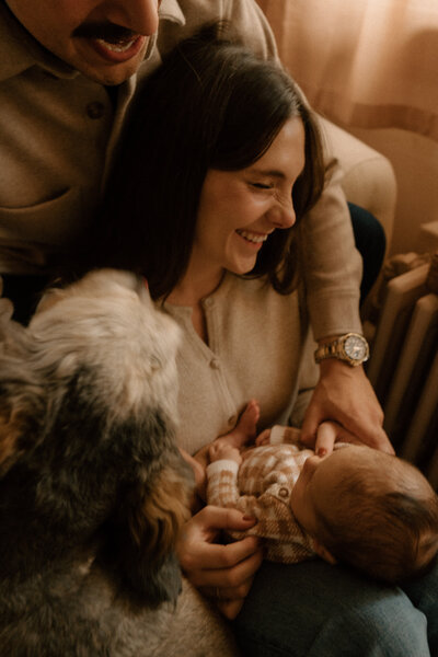 Showit Website Template and Custom Brand and Showit Web Design by With Grace and Gold