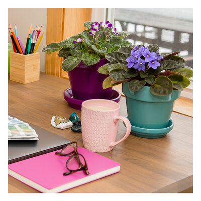 Photo of two violets, coffee, and office supplies