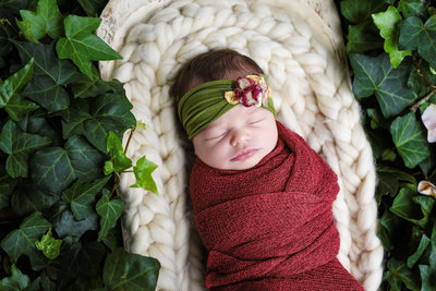 Beautiful Mississippi Newborn Photography: Baby girl in ivy bed with floral headband