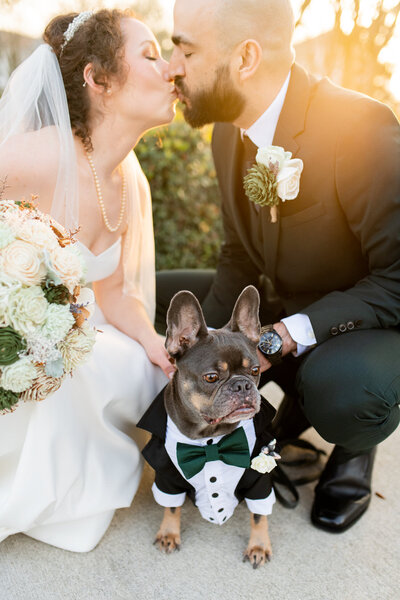 doggy wedding tuxedo