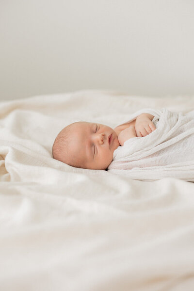 newborn photography iowa city