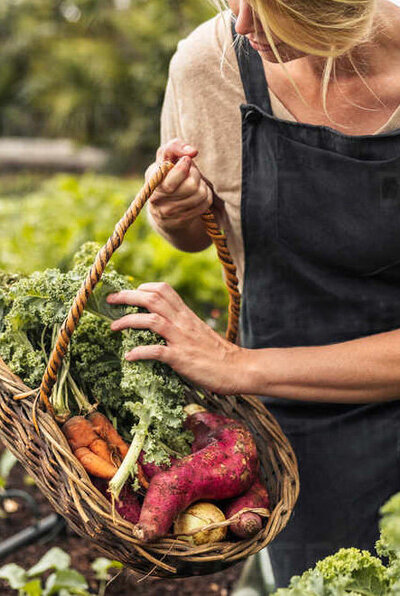 A woman in a garden stands holding a basket brimming with fresh, colorful vegetables.