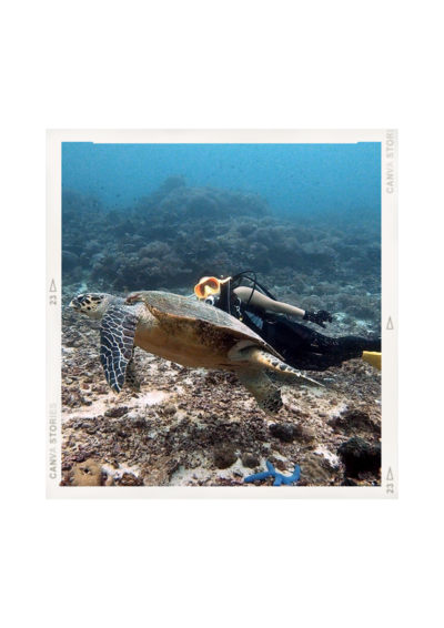 Underwater-Dive-With-Turtle