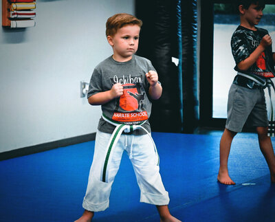 Kid Karate lessons Ichiban