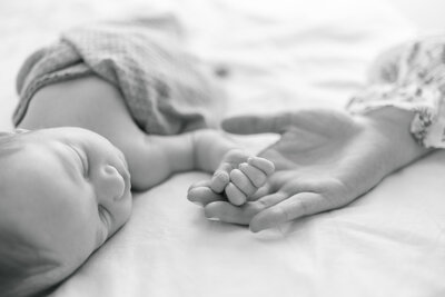 Baby sleeping during newborn session.
