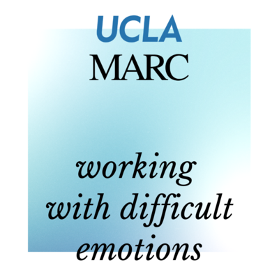 self paced course working with difficult emotions