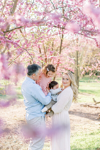 A blonde mother looks at the camera while holding her young son and standing next to her husband and daughter while standing in the cherry blossoms at the National Arboretum