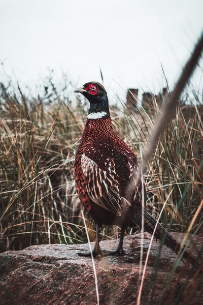 max-van-den-oetelaar-IsPrijvVFd4-unsplash