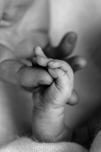 Detail shots of tiny babies details 